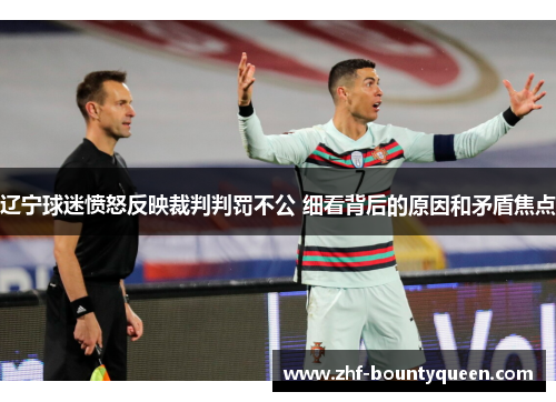 辽宁球迷愤怒反映裁判判罚不公 细看背后的原因和矛盾焦点